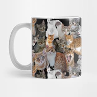 Cats meeting point Mug